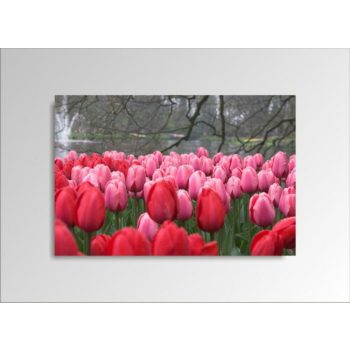 Digital Art vászonkép | 1219-S Tulpen ONE