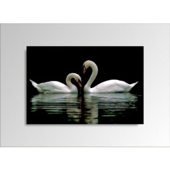 Digital Art vászonkép | 1222-S Swans ONE