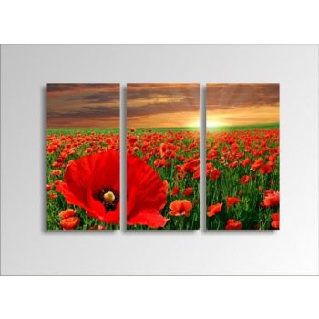 Digital Art vászonkép | 1217-S Pipacs THREE