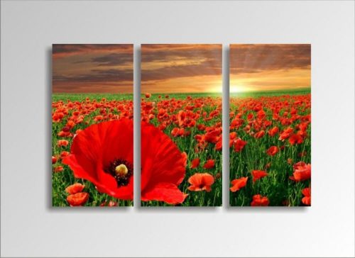 Digital Art vászonkép | 1217-S Pipacs THREE