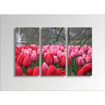 Digital Art vászonkép | 1219-S Tulpen THREE