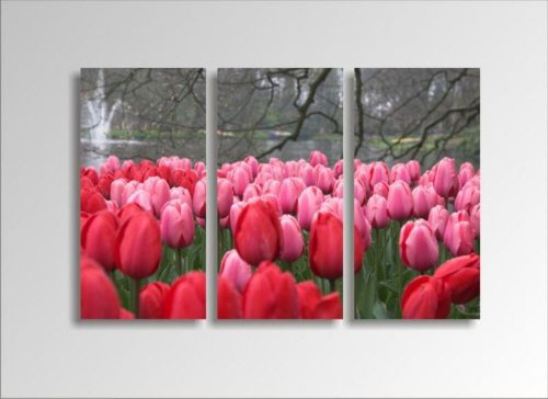 Digital Art vászonkép | 1219-S Tulpen THREE