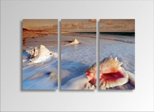 Digital Art vászonkép | 1221-S Seashell THREE
