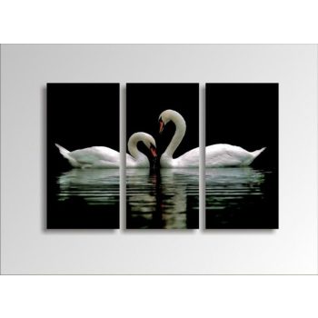 Digital Art vászonkép | 1222-S Swans THREE / POG 4336