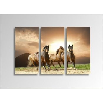 Digital Art vászonkép | 1230-S Running Horses THREE