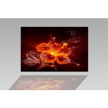 Digital Art vászonkép | 1262-S Fire Flower 2 ONE