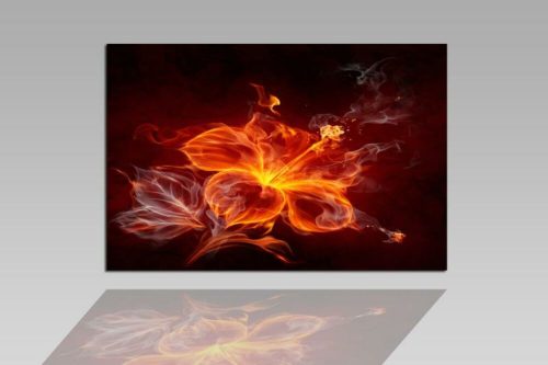Digital Art vászonkép | 1262-S Fire Flower 2 ONE