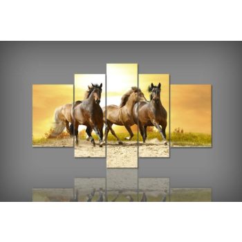 Digital Art vászonkép | 1661-S Cavalli