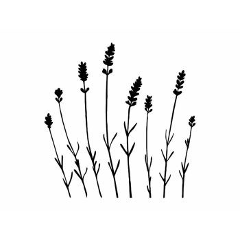 ByHome J8_Nature faltetoválás