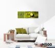 Vászonkép Faliórával H500 ambiente Toucan