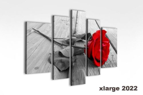 Digital Art vászonkép | 2022-S grigio rosa