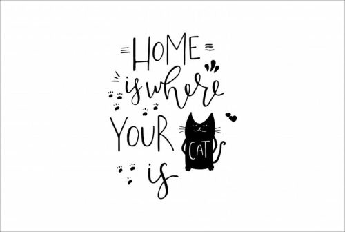ByHome J53_Cat faltetoválás