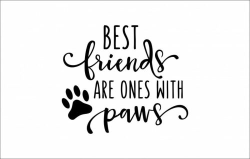 ByHome J57_Best friends faltetoválás