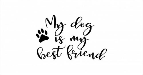ByHome J58_My dog faltetoválás