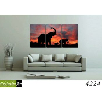 Exclusive Art vászonkép | 4224
