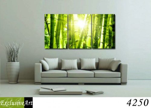 Exclusive Art vászonkép | 4250