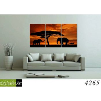 Exclusive Art vászonkép | 4265