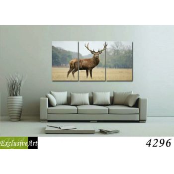Exclusive Art vászonkép | 4296
