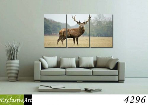 Exclusive Art vászonkép | 4296