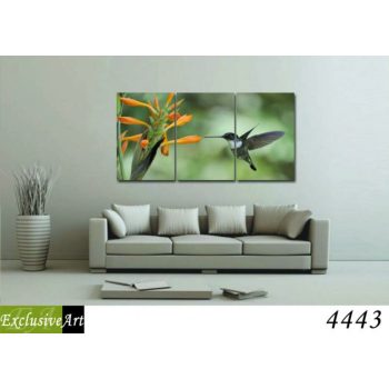 Exclusive Art vászonkép | 4443