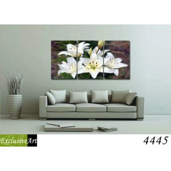 Exclusive Art vászonkép | 4445