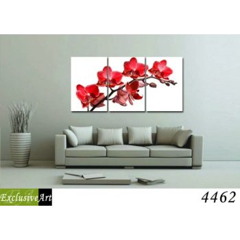 Exclusive Art vászonkép | 4462