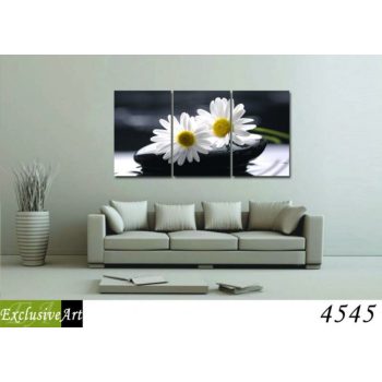 Exclusive Art vászonkép | 4545