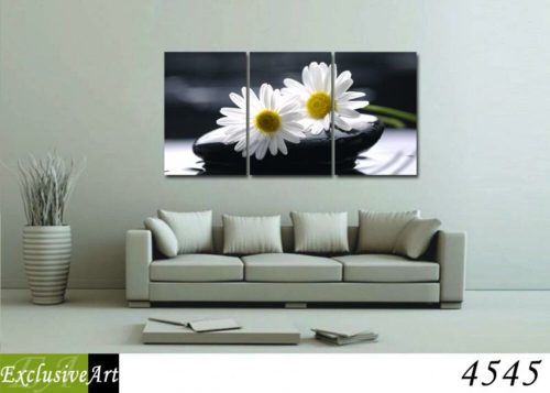 Exclusive Art vászonkép | 4545
