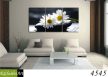 Exclusive Art vászonkép | 4545