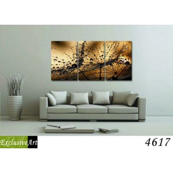 Exclusive Art vászonkép | 4617