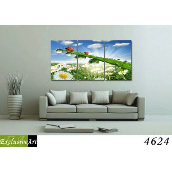 Exclusive Art vászonkép | 4624