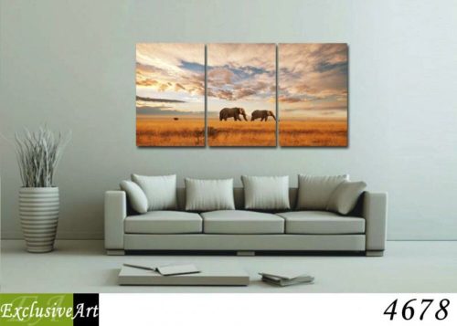 Exclusive Art vászonkép | 4678