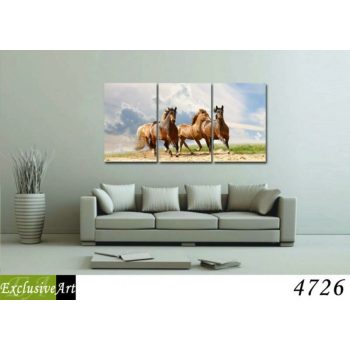 Exclusive Art vászonkép | 4726