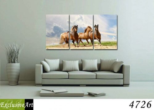 Exclusive Art vászonkép | 4726
