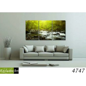 Exclusive Art vászonkép | 4747