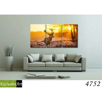 Exclusive Art vászonkép | 4752