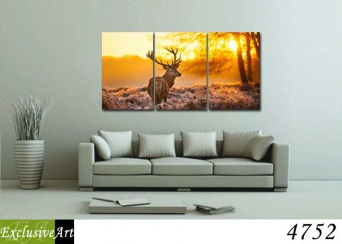 Exclusive Art vászonkép | 4752