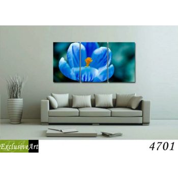 Exclusive Art vászonkép | 4701