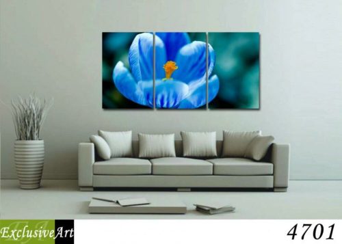 Exclusive Art vászonkép | 4701