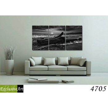 Exclusive Art vászonkép | 4705