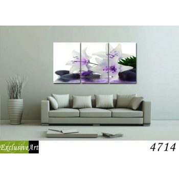 Exclusive Art vászonkép | 4714