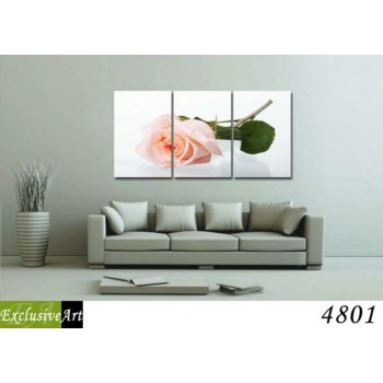 Exclusive Art vászonkép | 4801