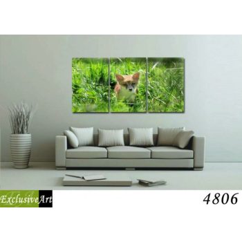 Exclusive Art vászonkép | 4806