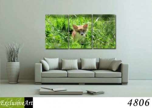 Exclusive Art vászonkép | 4806