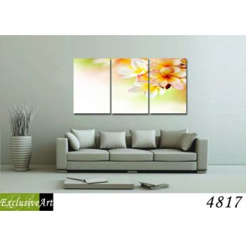 Exclusive Art vászonkép | 4817