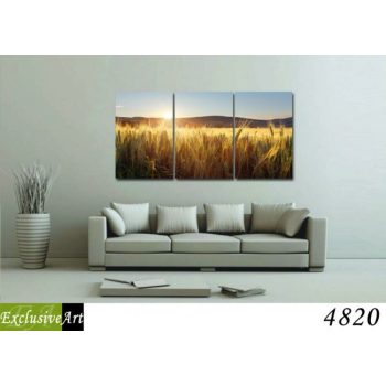 Exclusive Art vászonkép | 4820