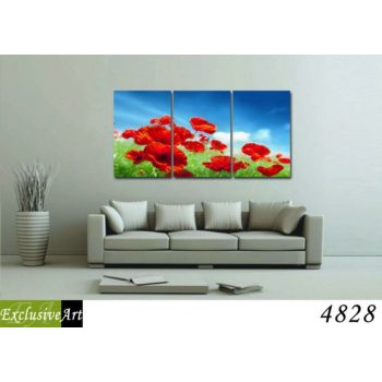 Exclusive Art vászonkép | 4828