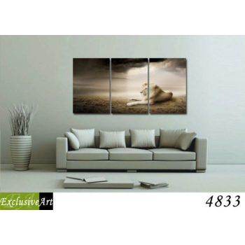 Exclusive Art vászonkép | 4833