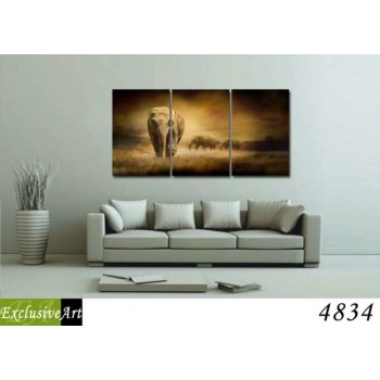 Exclusive Art vászonkép | 4834