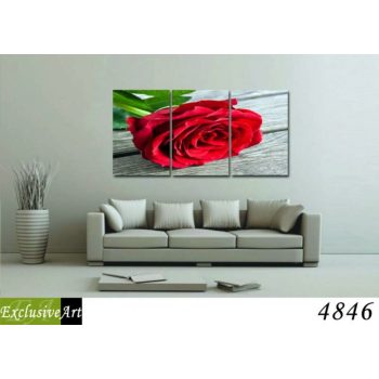 Exclusive Art vászonkép | 4846